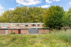 van Bosseplantsoen 8-38.jpg